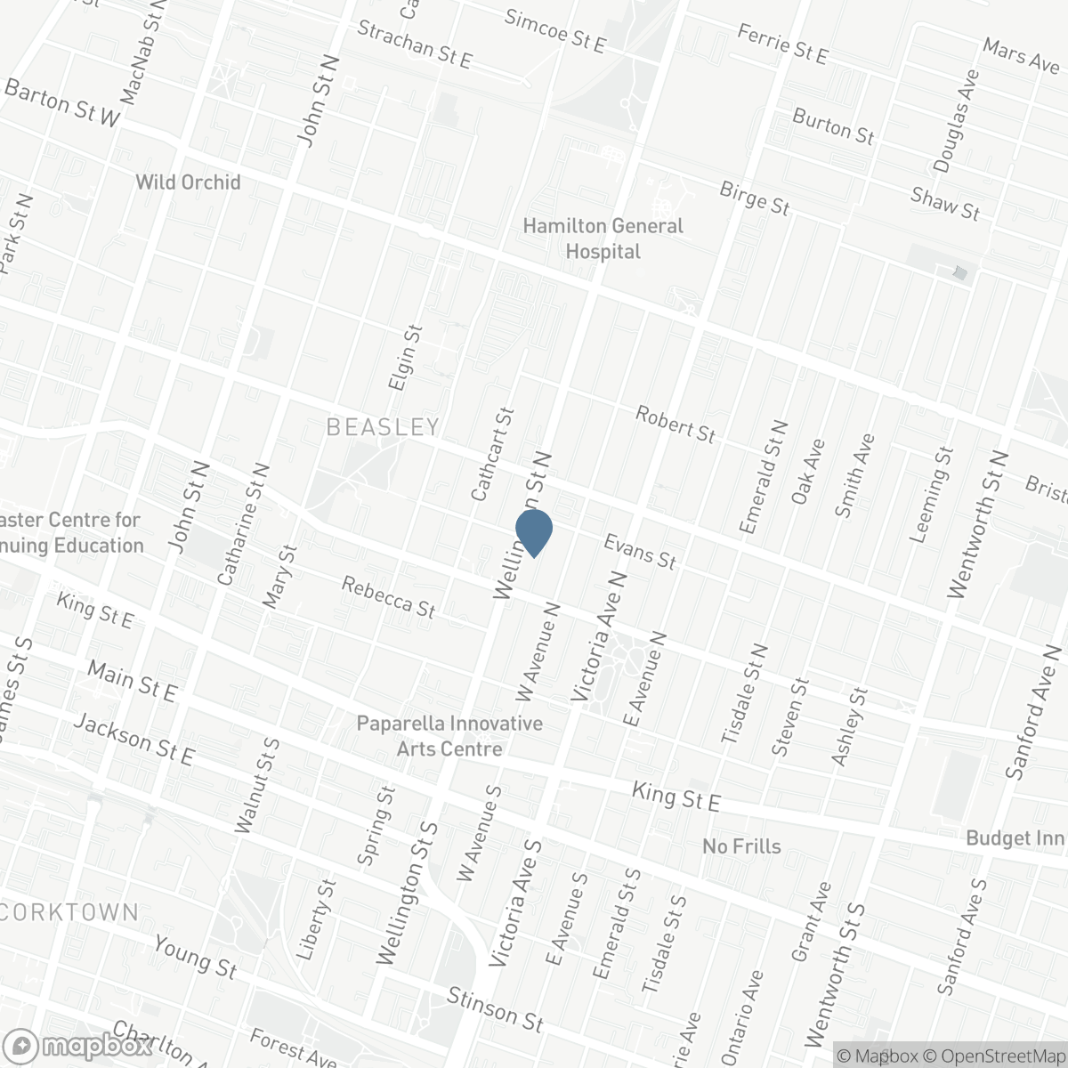 203 - 130 WELLINGTON STREET N, Hamilton, Ontario L8R 1N3